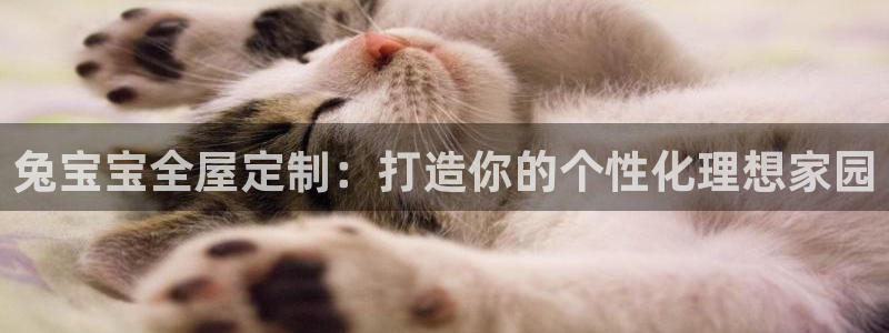 BB电子骗局
