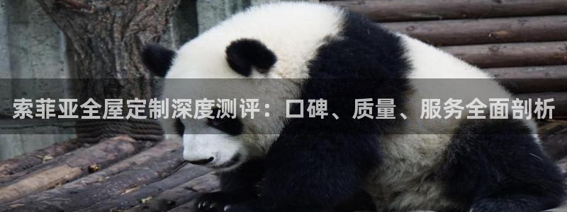 BB电子哪个平台好出款