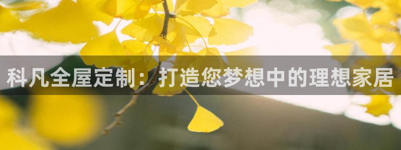 bb电子哪个平台好啊