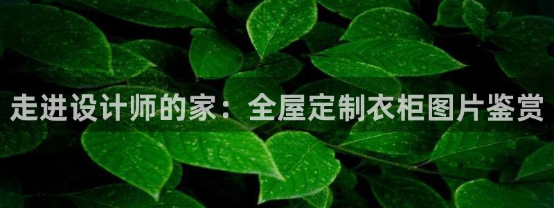 bb电子哪个平台好些