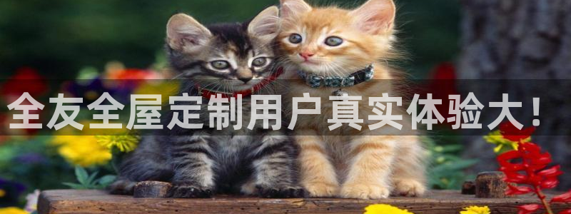 BB电子连环夺宝