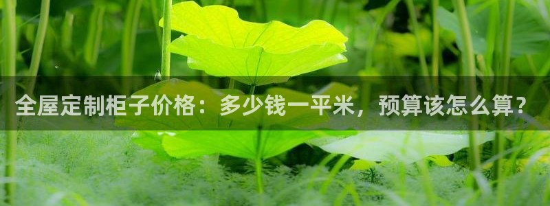 BB电子锁怎么接电
