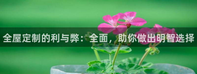 BB电子麻将胡了
