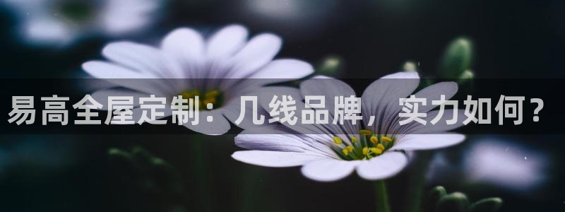 Bb电子琴和弦是哪个