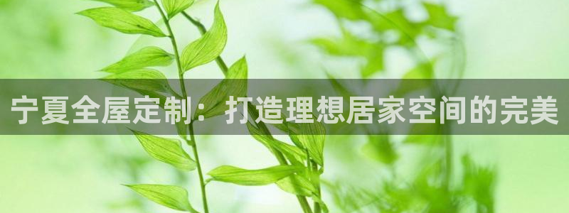 bb电子哪个平台好一点