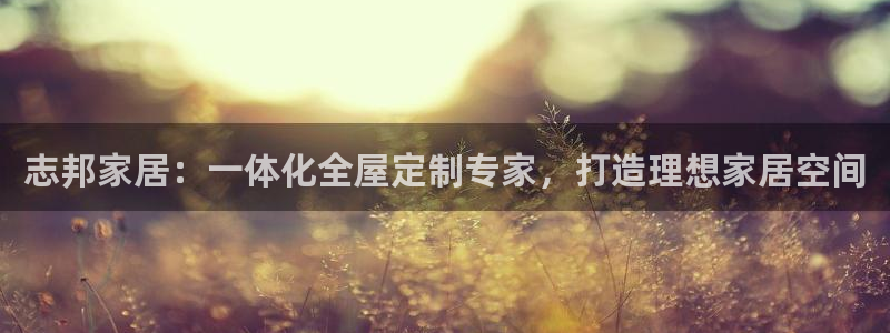 bb电子哪个平台好