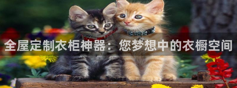 BB电子哪个平台好出款