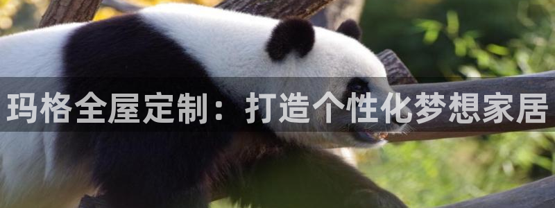 BB电子烟官网