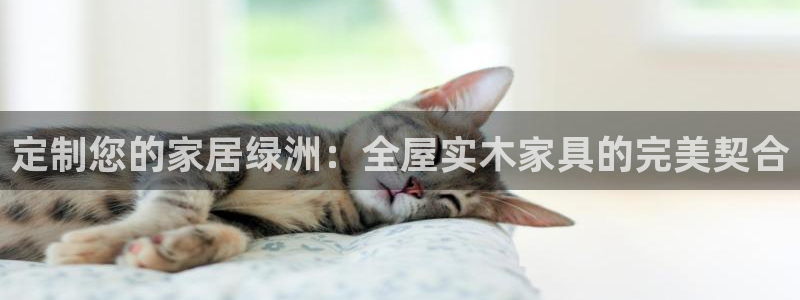 bb电子哪个平台好用