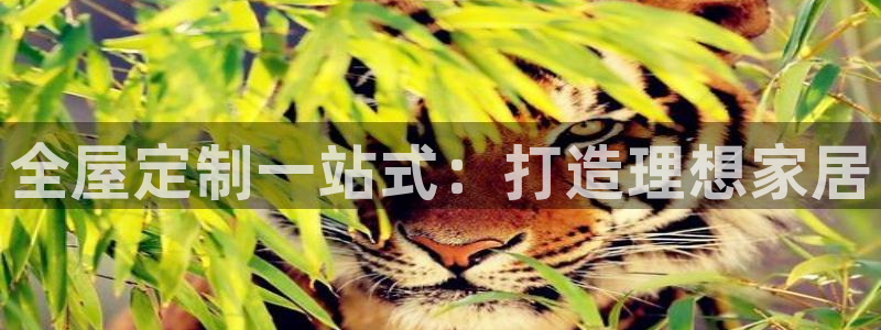 bb电子超级奖池彩金多少钱