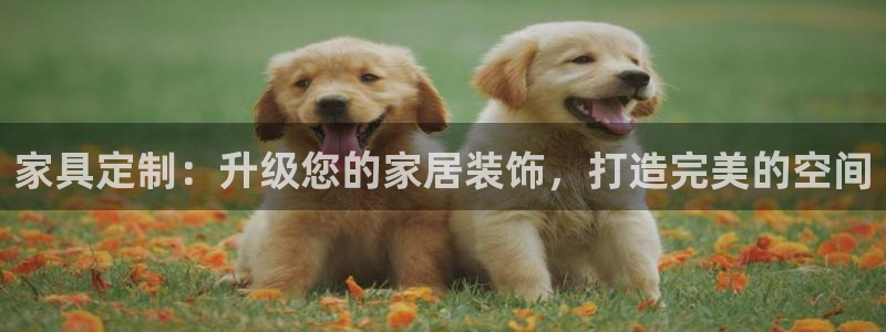 bb电子掉彩金