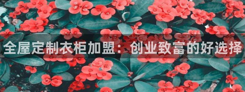 bb电子为什么总赢不了