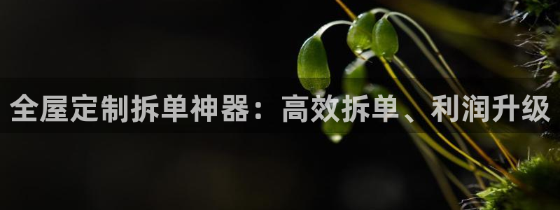 bb电子哪个平台好些