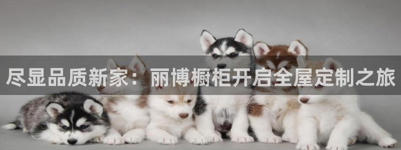 bb电子中了Major怎么算