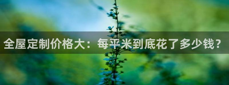 bb电子哪个平台好用点