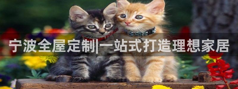 bb电子哪个游戏好赢钱一点的