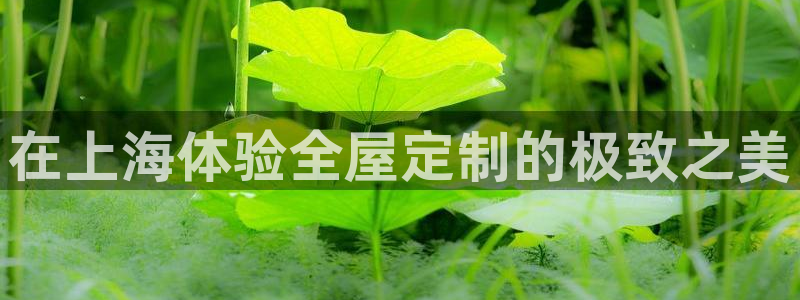 bb电子怎么赢