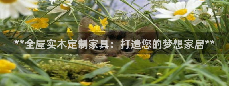 BB电子锁怎么接电