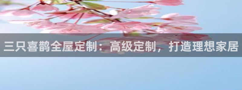 bb电子哪个平台好啊