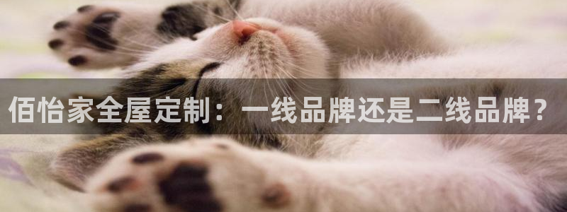 bb电子哪个平台好点