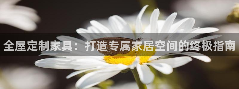 bb电子哪个平台好出款啊