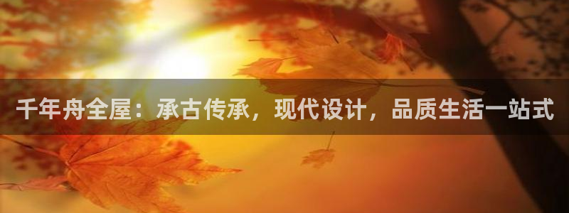 Bb电子琴和弦是哪个