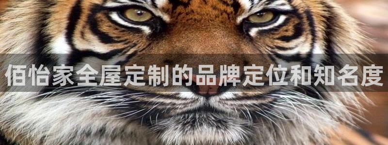 bb电子超级奖池彩金多少钱