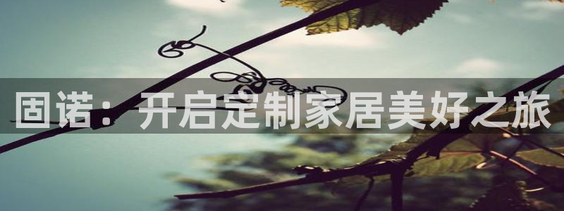bb电子教育平台