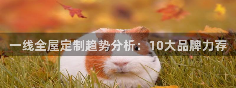 bb电子