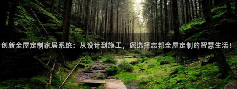 BB电子锁怎么接电