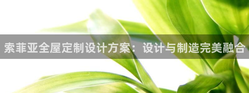 bB电子琴和弦