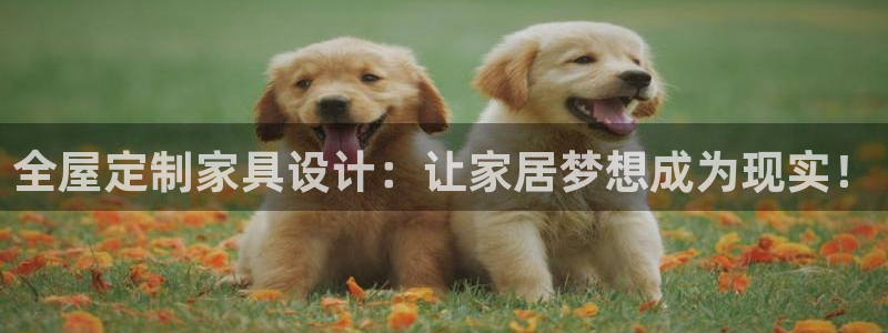 bb电子哪个平台好出款啊