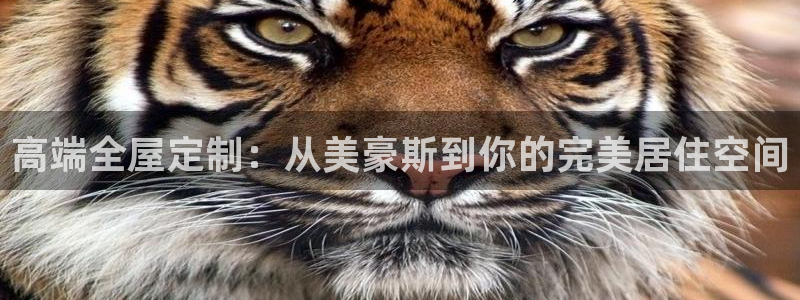 bb电子掉彩金