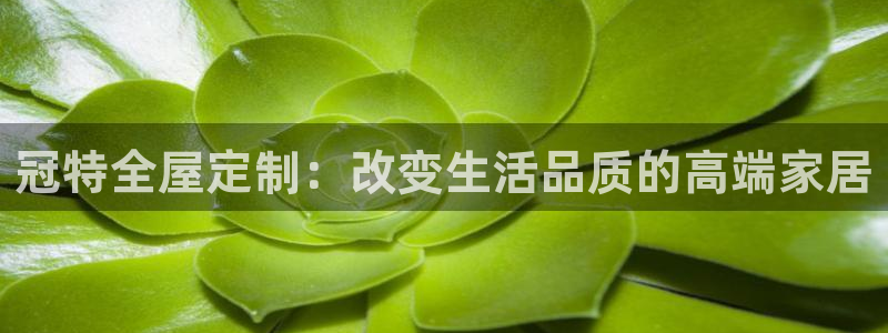 BB电子游戏钱得钱