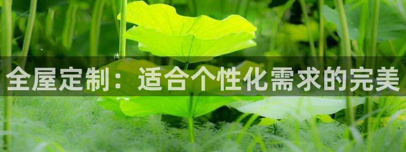 bb电子官网