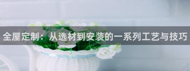 bb电子怎么英语怎么说