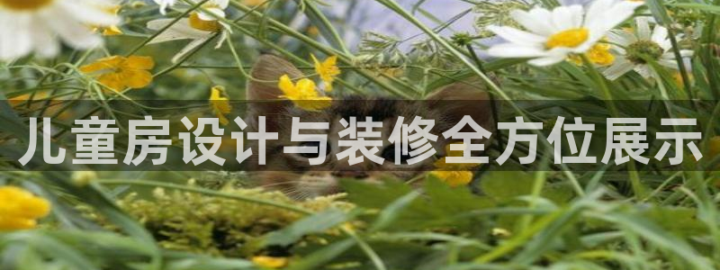 bb电子哪个平台好用一点