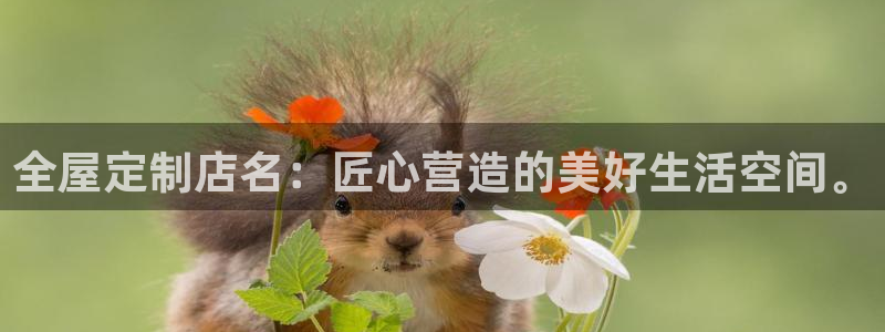 bb电子哪个平台好一点