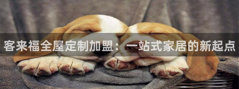 bb电子哪个平台好啊
