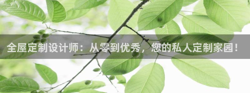 bb电子哪个平台好用